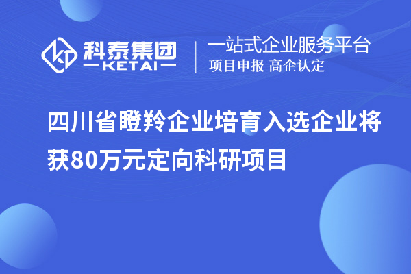 四川省瞪羚企业培育入选企业将获80万元定向科研项目