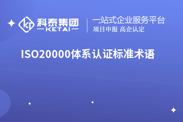 ISO20000体系认证标准术语