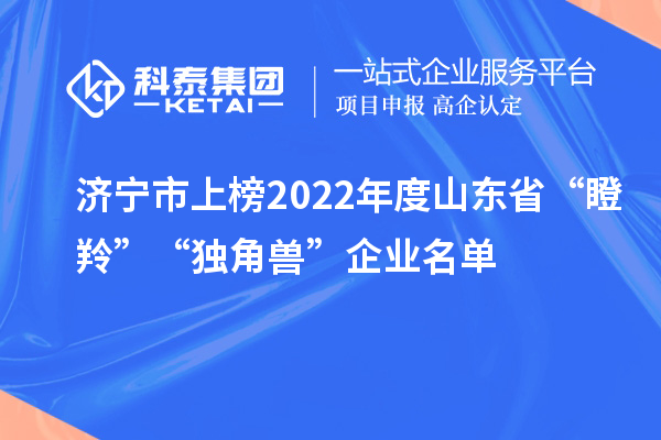 济宁市上榜2022年度山东省“瞪羚”“独角兽”企业名单