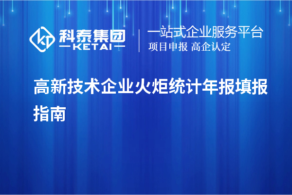 高新技术企业火炬统计年报填报指南