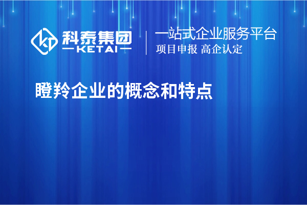 瞪羚企业的概念和特点