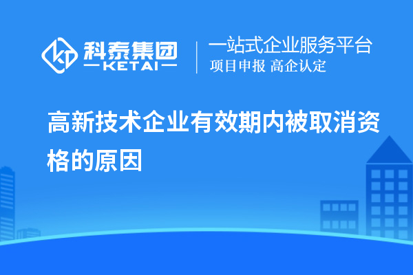 高新技术企业有效期内被取消资格的原因