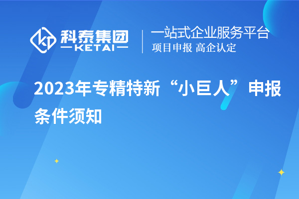 2023年专精特新“小巨人”申报条件须知