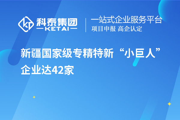 新疆国家级专精特新“小巨人”企业达42家