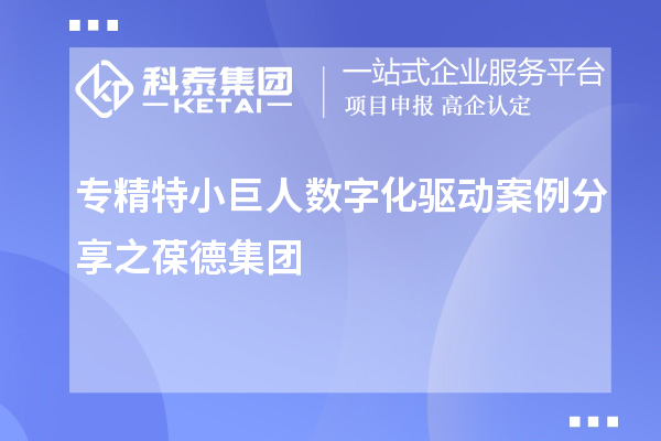 专精特小巨人数字化驱动案例分享之葆德集团