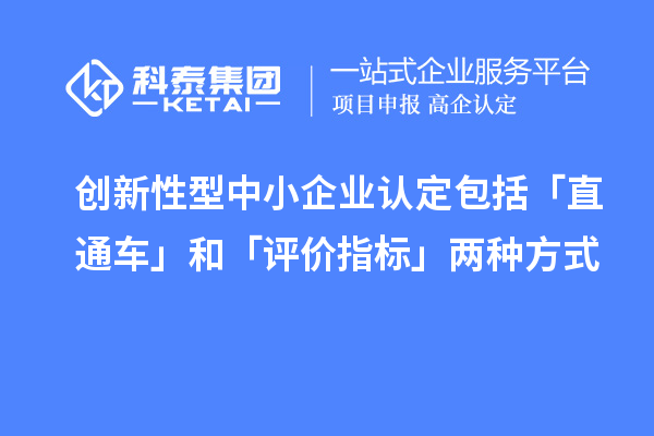 创新性型中小企业认定包括「直通车」和「评价指标」两种方式