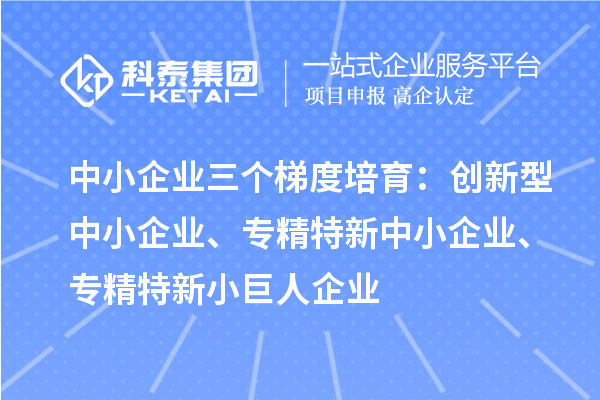 中小企业三个梯度培育：创新型中小企业、专精特新中小企业、专精特新小巨人企业