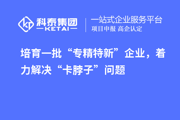 培育一批“专精特新”企业，着力解决“卡脖子”问题