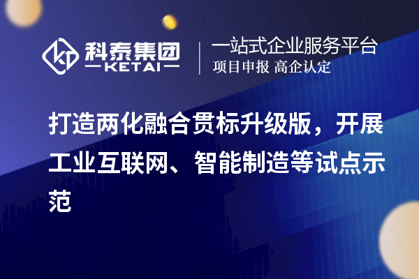 打造
升级版，开展工业互联网、智能制造等试点示范