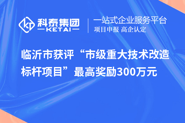 临沂市获评“市级重大技术改造标杆项目”最高奖励300万元