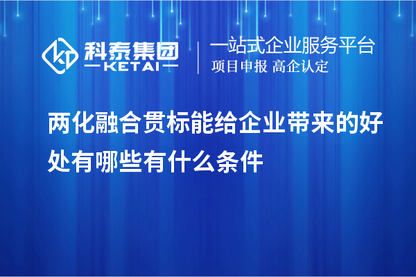 
能给企业带来的好处有哪些有什么条件