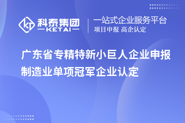 广东省专精特新小巨人企业申报制造业单项冠军企业认定