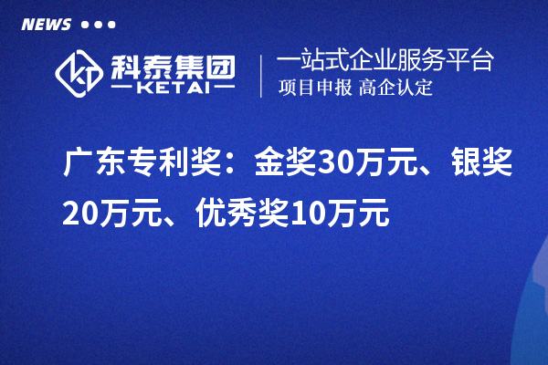 广东专利奖：金奖30万元、银奖20万元、优秀奖10万元（省级）