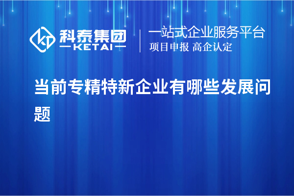 当前专精特新企业有哪些发展问题