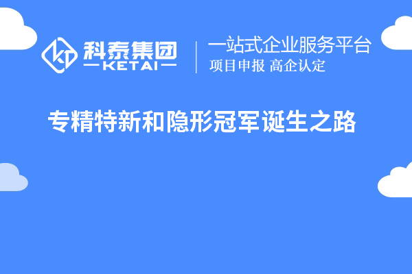 专精特新和隐形冠军诞生之路