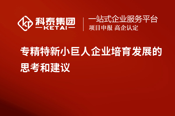 专精特新小巨人企业培育发展的思考和建议