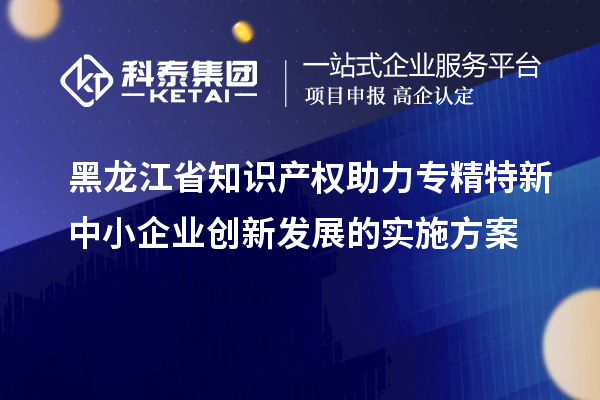 黑龙江省知识产权助力专精特新中小企业创新发展的实施方案