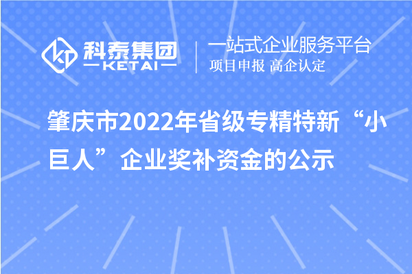 肇庆市2022年省级专精特新“小巨人”企业奖补资金的公示