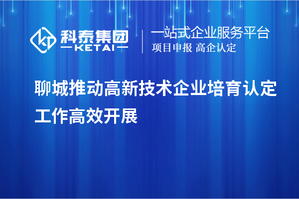 聊城推动高新技术企业培育认定工作高效开展