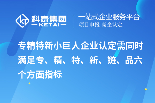 专精特新小巨人企业认定需同时满足专、精、特、 新、链、品六个方面指标