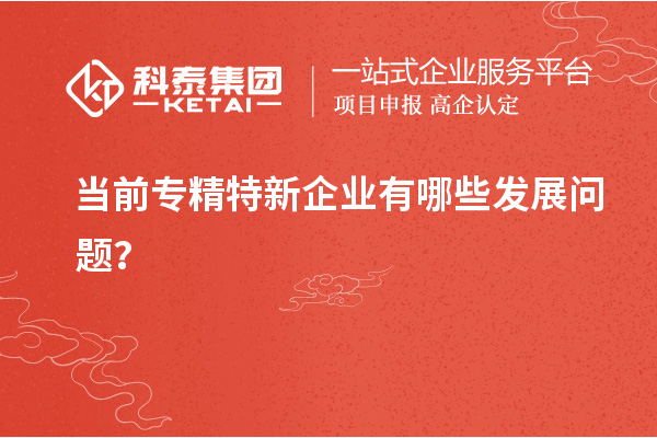 当前专精特新企业有哪些发展问题？