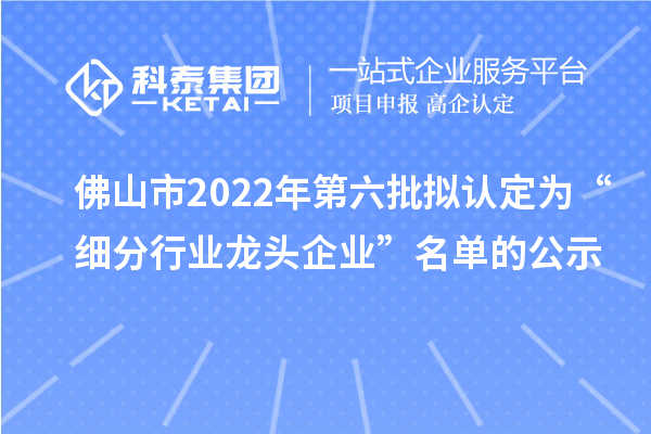 佛山市2022年第六批拟认定为“细分行业龙头企业”名单的公示