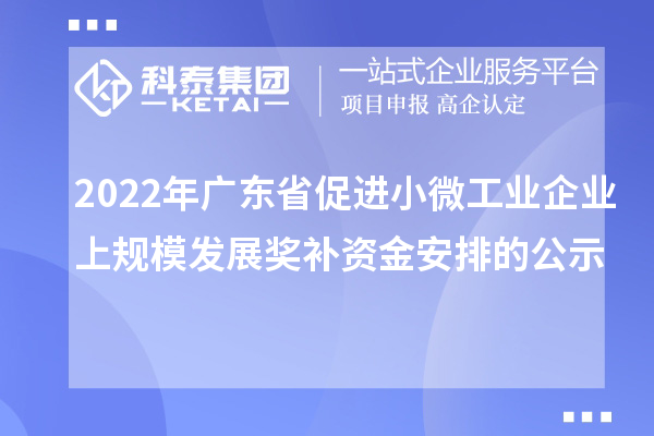 2022年广东省促进小微工业企业上规模发展奖补资金安排的公示