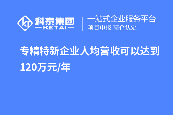 专精特新企业人均营收可以达到 120万元/年