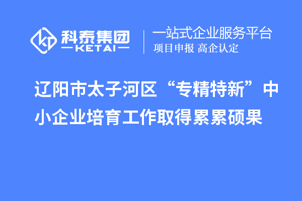 辽阳市太子河区“专精特新”中小企业培育工作取得累累硕果