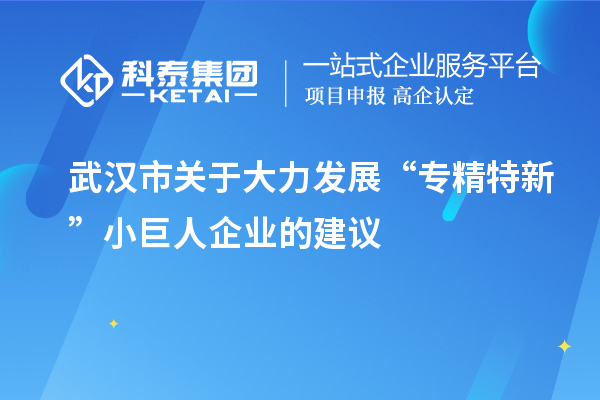 武汉市关于大力发展“专精特新”小巨人企业的建议