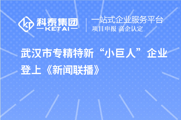 武汉市专精特新“小巨人”企业登上《新闻联播》