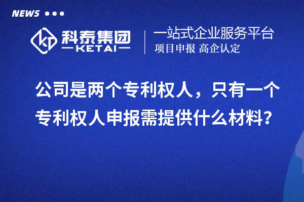 公司是两个专利权人，只有一个专利权人申报需提供什么材料？