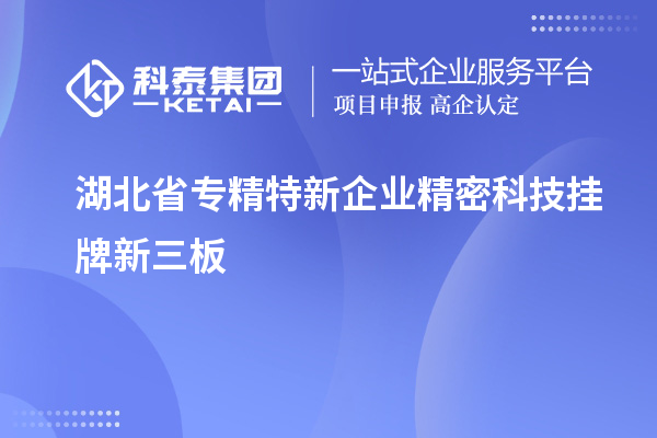 湖北省专精特新企业精密科技挂牌新三板