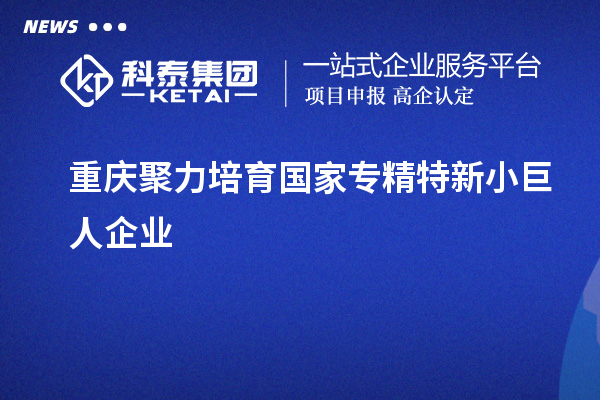 重庆聚力培育国家专精特新小巨人企业