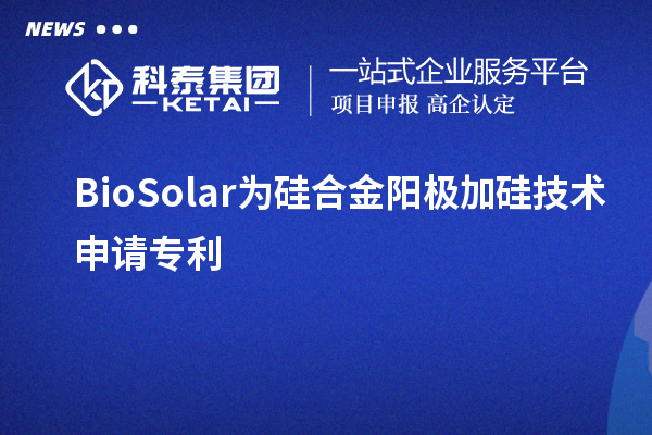 BioSolar为硅合金阳极加硅技术申请专利