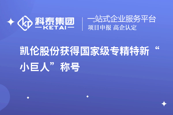 凯伦股份获得国家级专精特新“小巨人”称号