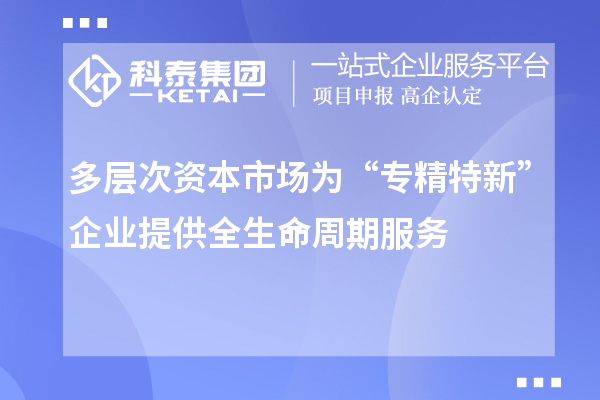 多层次资本市场为“专精特新”企业提供全生命周期服务