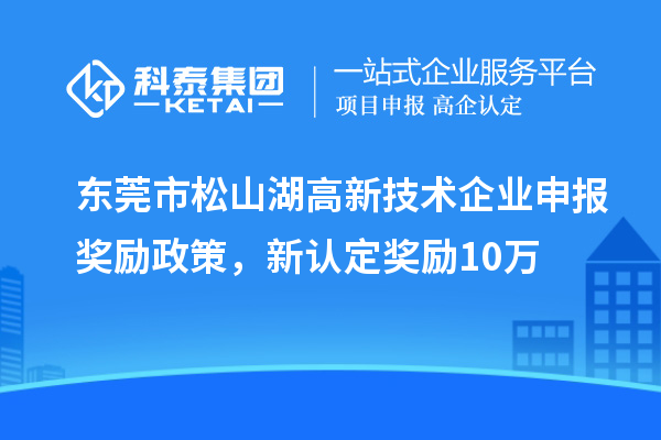 东莞市松山湖高新技术企业申报奖励政策，新认定奖励10万