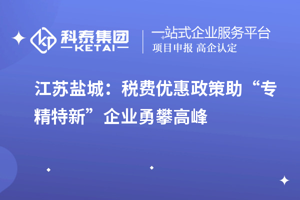 江苏盐城：税费优惠政策助“专精特新”企业勇攀高峰