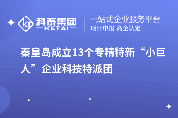 秦皇岛成立13个专精特新“小巨人”企业科技特派团