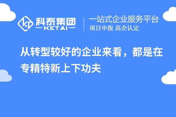 从转型较好的企业来看，都是在专精特新上下功夫