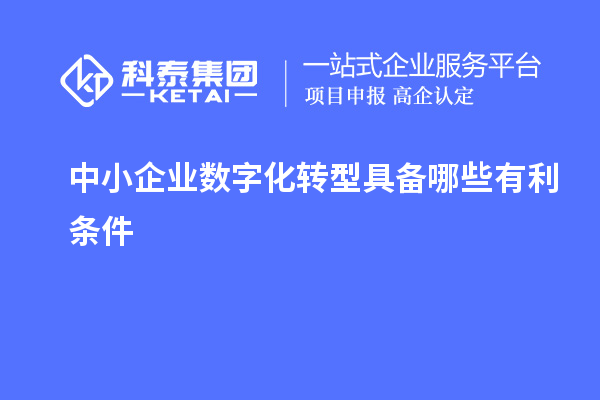 中小企业数字化转型具备哪些有利条件