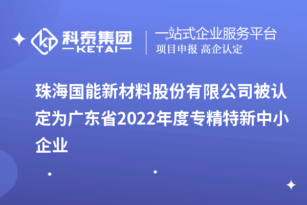 国能新材被认定为广东省2022年度专精特新中小企业