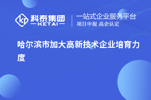 哈尔滨市加大高新技术企业培育力度