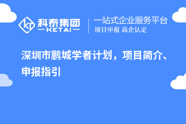 深圳市鹏城学者计划，项目简介、申报指引