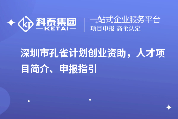 深圳市孔雀计划创业资助，人才项目简介、申报指引