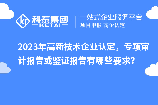 2023年
，专项审计报告或鉴证报告有哪些要求？