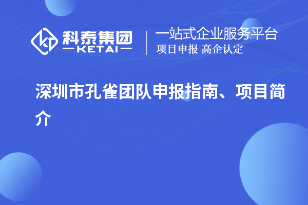 深圳市孔雀团队申报指南、项目简介