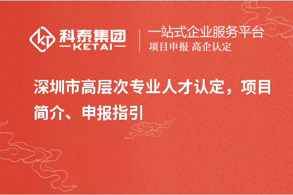 深圳市高层次专业人才认定，项目简介、申报指引