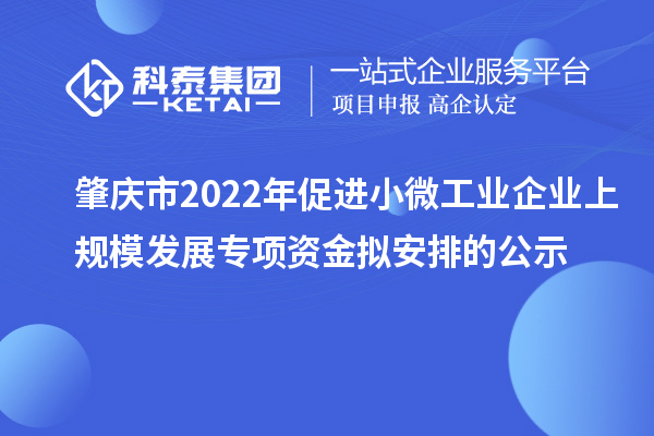 肇庆市2022年促进小微工业企业上规模发展专项资金拟安排的公示